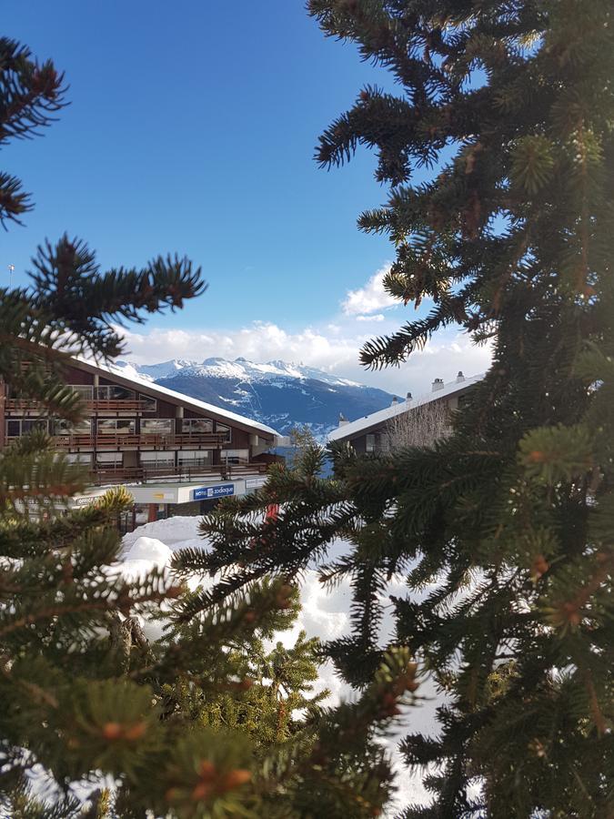 Holidays Groupes Anzere Bagian luar foto